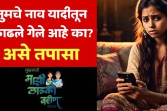 Ladki Bahin Yojana February Payment Update