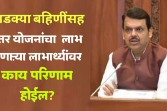 Ladki Bahin Yojana Effect Maharashtra Committee To Control Spending