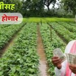 PM Kisan Yojana Government To Recover Payments From Ineligible Farmers