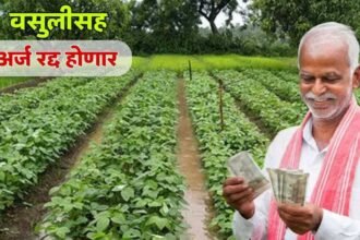 PM Kisan Yojana Government To Recover Payments From Ineligible Farmers