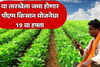 PM Kisan 19th Installment Date 2025