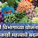 Shetkari Yojana New Initiatives Farming Schemes Maharashtra