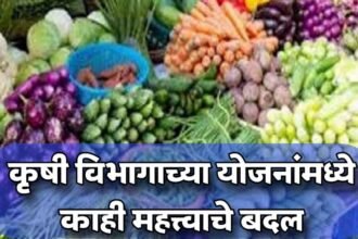 Shetkari Yojana New Initiatives Farming Schemes Maharashtra