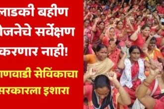 Maharashtra Anganwadi Sevika Protest Ladki Bahin Yojana Survey Halted