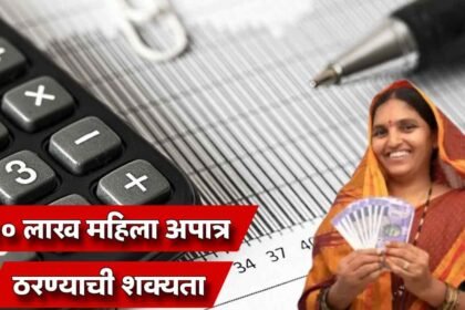 Ladki Bahin Yojana Income Tax Verification