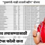 Ladki Bahin Yojana Payment Status Update 2025