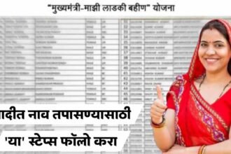 Ladki Bahin Yojana Payment Status Update 2025