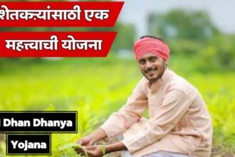 Budget 2025 PM Dhan Dhanya Krishi Yojana Beneficiaries