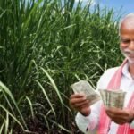 PM Kisan Yojana 19th Installment Date February 2025