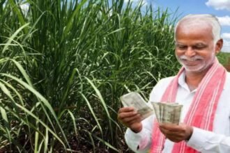 PM Kisan Yojana 19th Installment Date February 2025